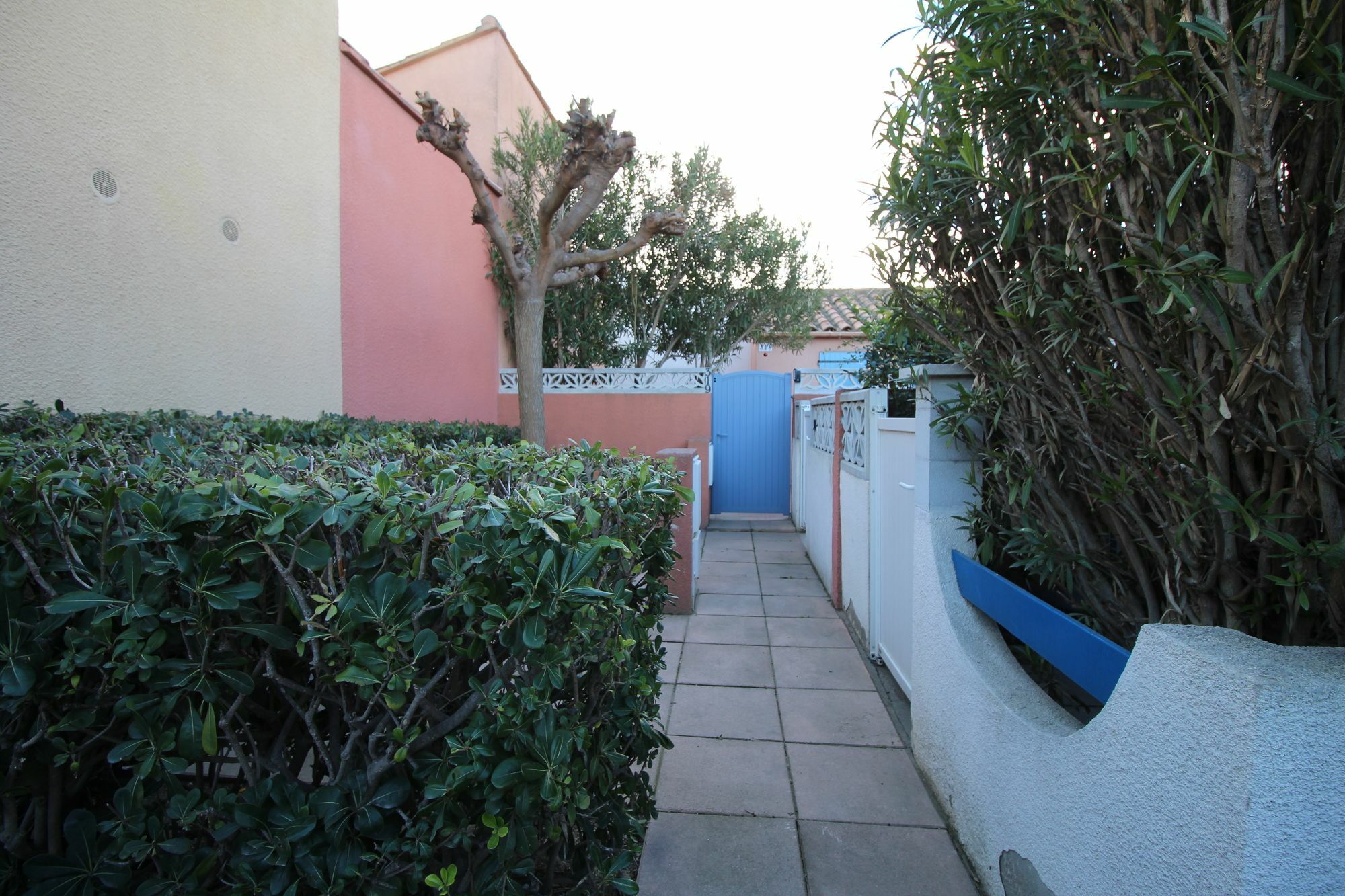 Appartement Charmant A Canet En Roussillon 36 M² Piscine Partagee エクステリア 写真